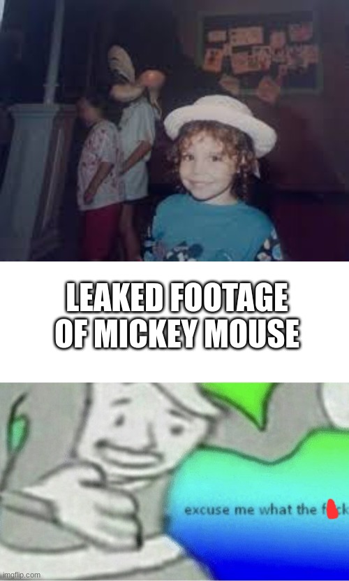 why | LEAKED FOOTAGE OF MICKEY MOUSE | image tagged in excuse me wtf blank template | made w/ Imgflip meme maker