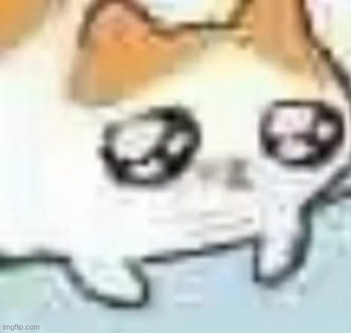 crying cat | image tagged in crying cat | made w/ Imgflip meme maker