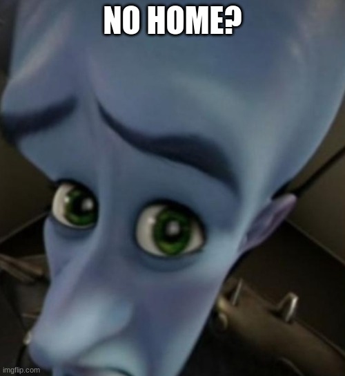 Megamind no bitches | NO HOME? | image tagged in megamind no bitches | made w/ Imgflip meme maker