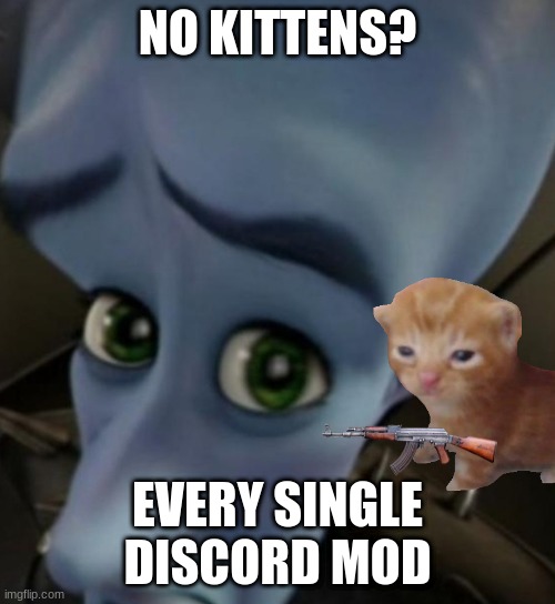 Megamind no bitches | NO KITTENS? EVERY SINGLE DISCORD MOD | image tagged in megamind no bitches | made w/ Imgflip meme maker
