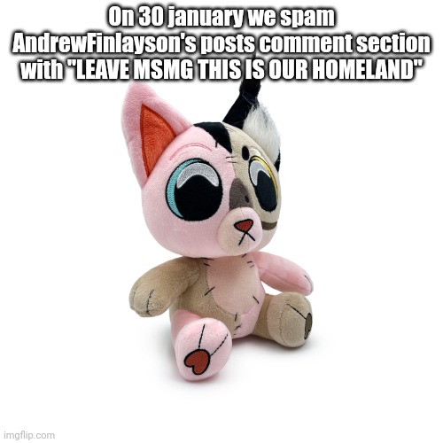 Bingus x Floppa hybrid plushie™ | On 30 january we spam AndrewFinlayson's posts comment section with "LEAVE MSMG THIS IS OUR HOMELAND" | image tagged in bingus x floppa hybrid plushie | made w/ Imgflip meme maker