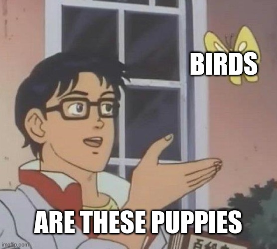 Is This A Pigeon Meme | BIRDS ARE THESE PUPPIES | image tagged in memes,is this a pigeon | made w/ Imgflip meme maker