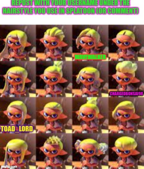 What happened to the octoling hairstyles? | WAVEWALKER | image tagged in splatoon | made w/ Imgflip meme maker