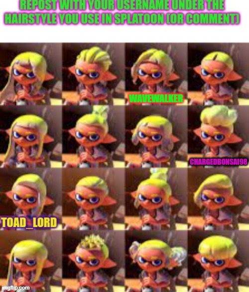 What Happened To The Octoling Hairstyles? - Imgflip