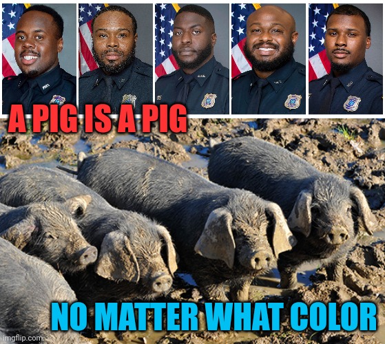 A PIG IS A PIG; NO MATTER WHAT COLOR | image tagged in tyre nichols,say his name,tyranny,murder,mort aux vaches,dehumanization | made w/ Imgflip meme maker