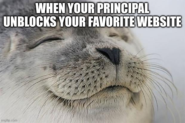 this never happened to me | WHEN YOUR PRINCIPAL UNBLOCKS YOUR FAVORITE WEBSITE | image tagged in memes,satisfied seal | made w/ Imgflip meme maker