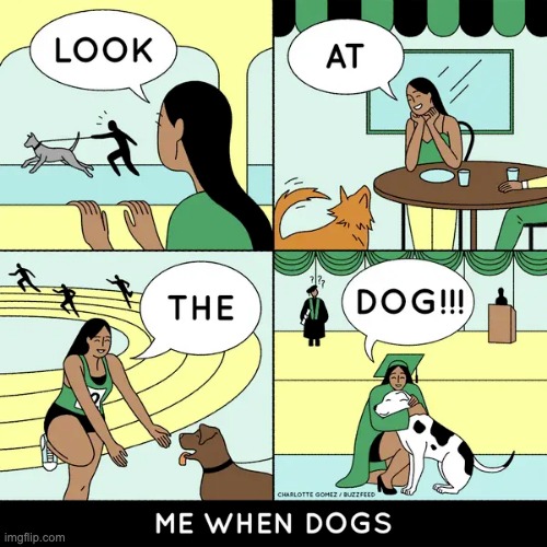 Look at the Dog!!! | image tagged in dogs,comics,comics/cartoons,memes,wholesome,wholesome content | made w/ Imgflip meme maker