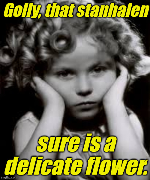 Pouty Shirley Temple | Golly, that stanhalen; sure is a delicate flower. | image tagged in pouty shirley temple | made w/ Imgflip meme maker