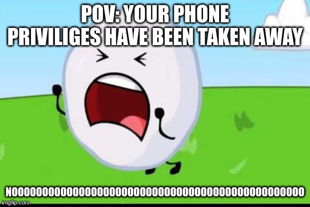 Help | POV: YOUR PHONE PRIVILIGES HAVE BEEN TAKEN AWAY; NOOOOOOOOOOOOOOOOOOOOOOOOOOOOOOOOOOOOOOOOOOOOOOOO | image tagged in bfdi snowball nooooo | made w/ Imgflip meme maker