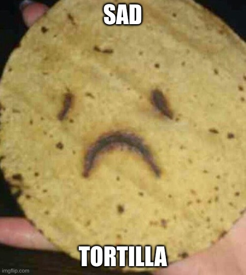 Sad Tortilla | SAD TORTILLA | image tagged in sad tortilla | made w/ Imgflip meme maker