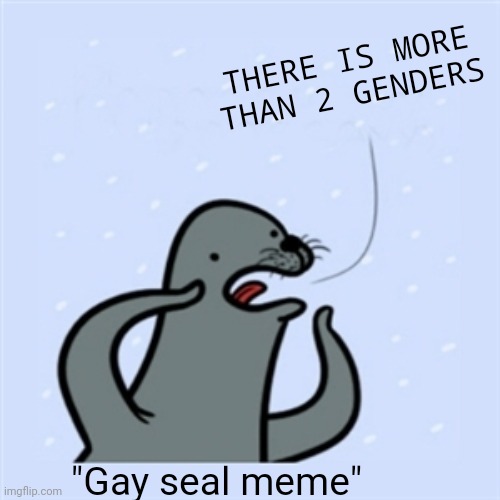 Gay seal | THERE IS MORE THAN 2 GENDERS; "Gay seal meme" | image tagged in gay seal | made w/ Imgflip meme maker