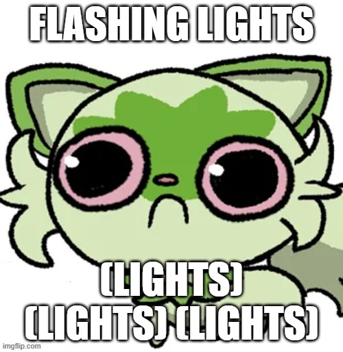 weed cat | FLASHING LIGHTS; (LIGHTS) (LIGHTS) (LIGHTS) | image tagged in weed cat | made w/ Imgflip meme maker