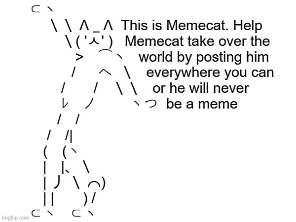 High Quality Memecat Blank Meme Template