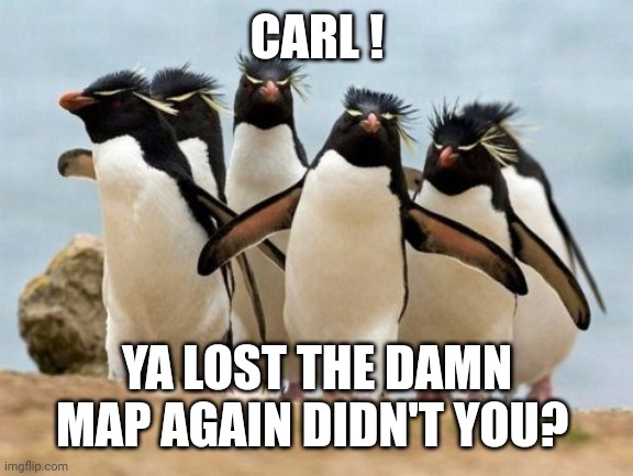 CARL ! YA LOST THE DAMN MAP AGAIN DIDN'T YOU? | image tagged in memes,penguin gang | made w/ Imgflip meme maker