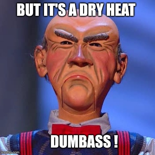 BUT IT'S A DRY HEAT DUMBASS ! | image tagged in walter jeff dunham | made w/ Imgflip meme maker