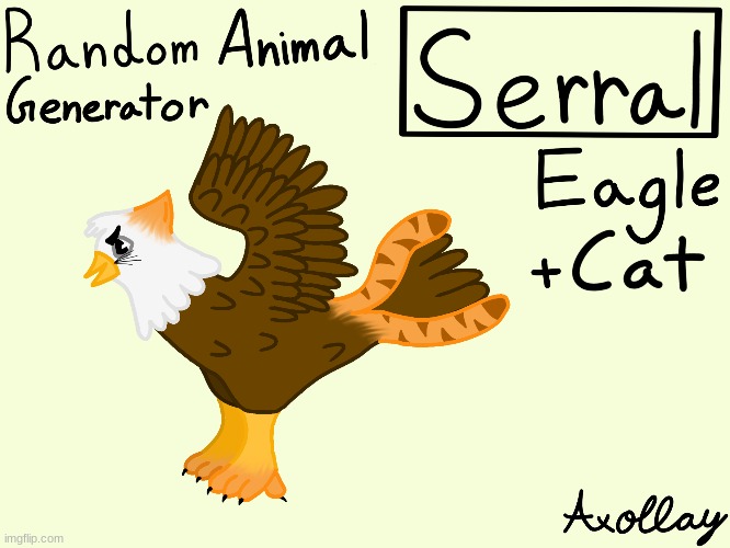 Eagle + Cat | image tagged in drawing,original,art | made w/ Imgflip meme maker