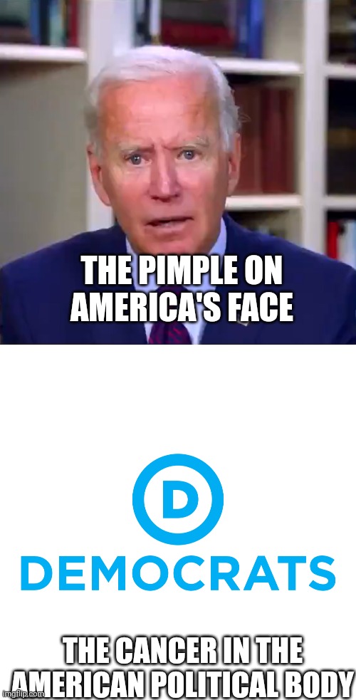 Just the facts..... | THE PIMPLE ON AMERICA'S FACE; THE CANCER IN THE AMERICAN POLITICAL BODY | image tagged in slow joe biden dementia face,democrats | made w/ Imgflip meme maker
