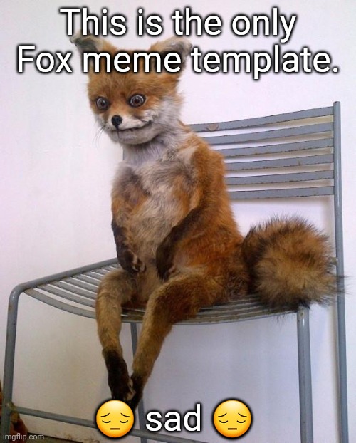 Sad | This is the only Fox meme template. 😔 sad 😔 | image tagged in stoned fox,sad,sad but true,memes | made w/ Imgflip meme maker