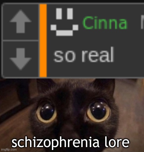 so fake | schizophrenia lore | image tagged in skrunkly | made w/ Imgflip meme maker