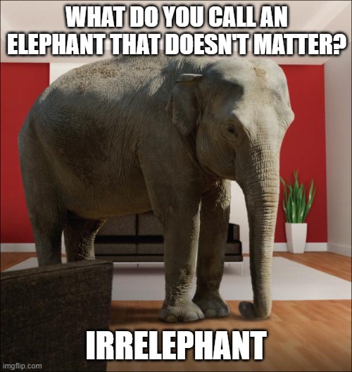 Irrelephant | WHAT DO YOU CALL AN ELEPHANT THAT DOESN'T MATTER? IRRELEPHANT | image tagged in elephant in the room | made w/ Imgflip meme maker