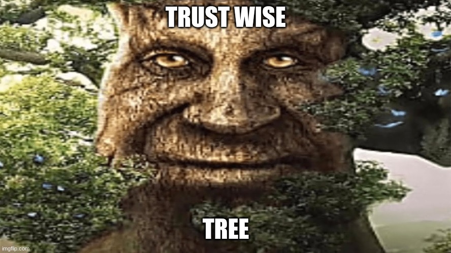 trust tree | TRUST WISE; TREE | image tagged in wise mystical tree,wise,tree | made w/ Imgflip meme maker