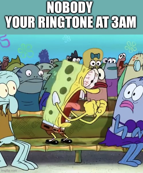 I’m sure there are people who would relate to this | NOBODY 
YOUR RINGTONE AT 3AM | image tagged in spongebob yelling | made w/ Imgflip meme maker