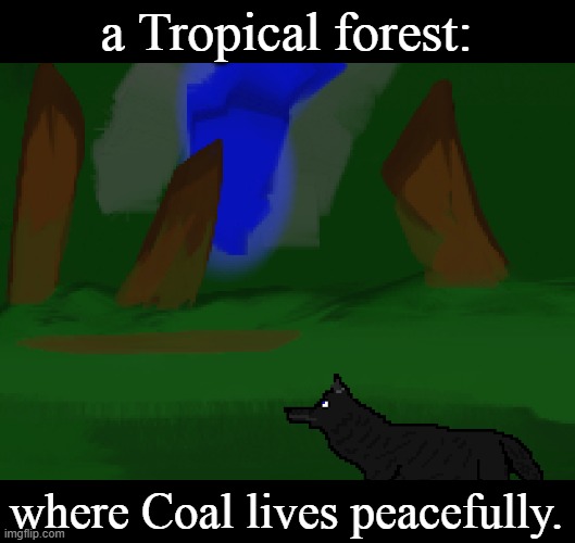 Coal's home~ | a Tropical forest:; where Coal lives peacefully. | image tagged in peace,bliss,happy,wolf,nature,forest | made w/ Imgflip meme maker