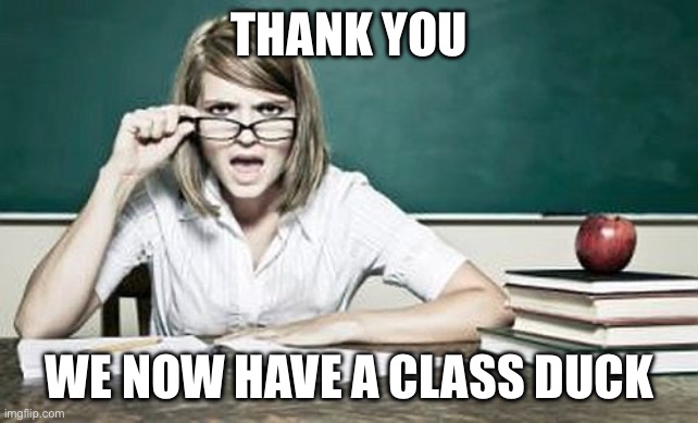 teacher | THANK YOU; WE NOW HAVE A CLASS DUCK | image tagged in teacher | made w/ Imgflip meme maker