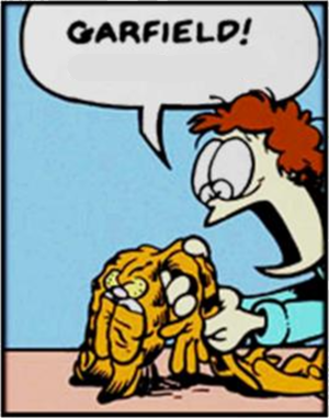 High Quality GARFIELD Blank Meme Template