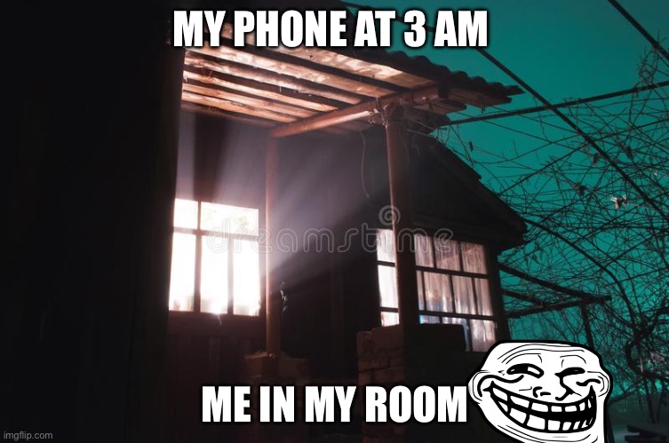 My phone is bright | MY PHONE AT 3 AM; ME IN MY ROOM | image tagged in the light | made w/ Imgflip meme maker