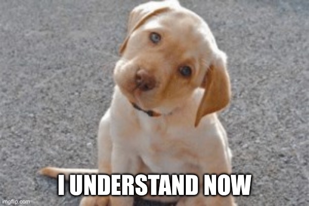 Head tilt solves everything | I UNDERSTAND NOW | image tagged in cute puppy,understanding | made w/ Imgflip meme maker