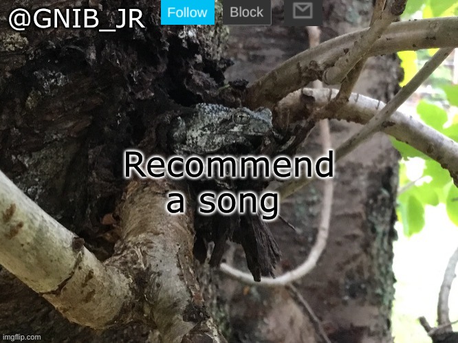preferably rock or metal but pop is ok to | Recommend a song | image tagged in gnib_jr's main template,rock,song | made w/ Imgflip meme maker
