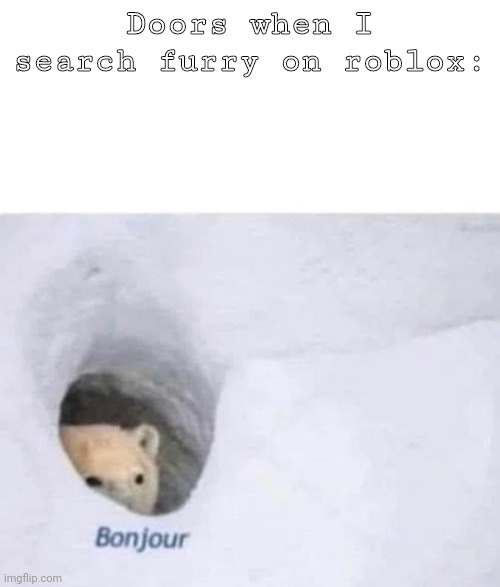 Every time bro | Doors when I search furry on roblox: | image tagged in bonjour | made w/ Imgflip meme maker