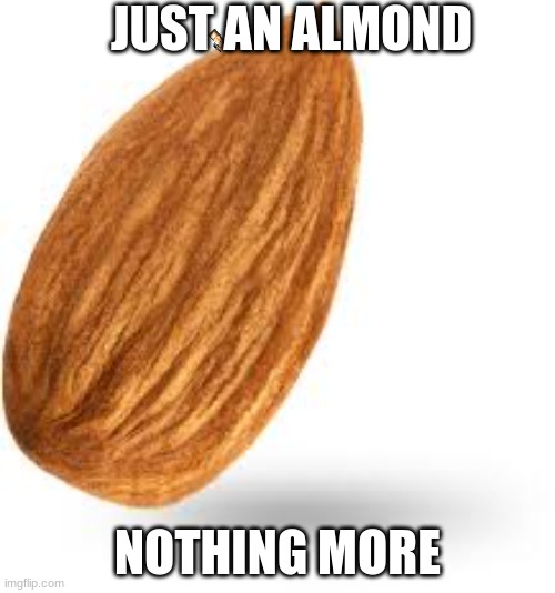 Almond | JUST AN ALMOND; NOTHING MORE | image tagged in memes | made w/ Imgflip meme maker