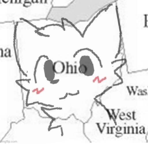 Guys.. I think Ohio is lost | made w/ Imgflip meme maker