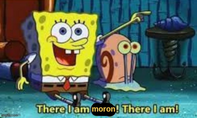 There I Am Gary! | moron | image tagged in there i am gary | made w/ Imgflip meme maker