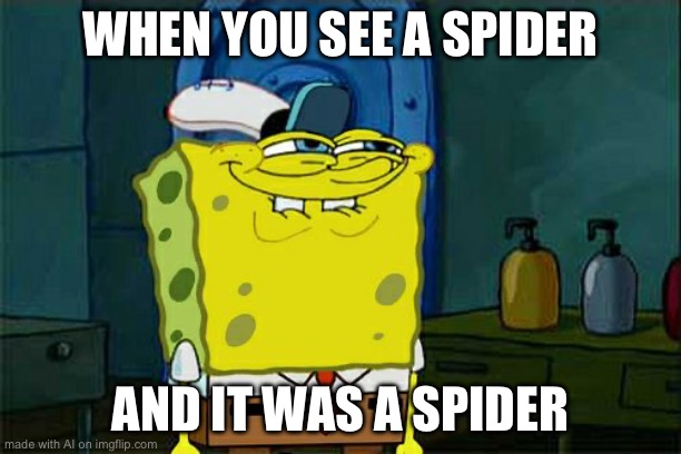 Don't You Squidward Meme | WHEN YOU SEE A SPIDER; AND IT WAS A SPIDER | image tagged in memes,don't you squidward | made w/ Imgflip meme maker