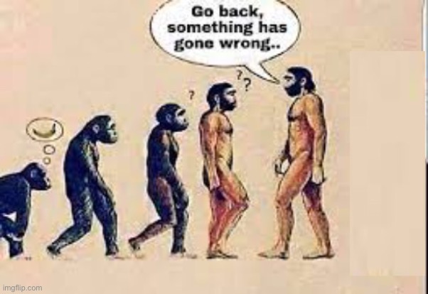 New temp | image tagged in evolution go back something has gone wrong | made w/ Imgflip meme maker
