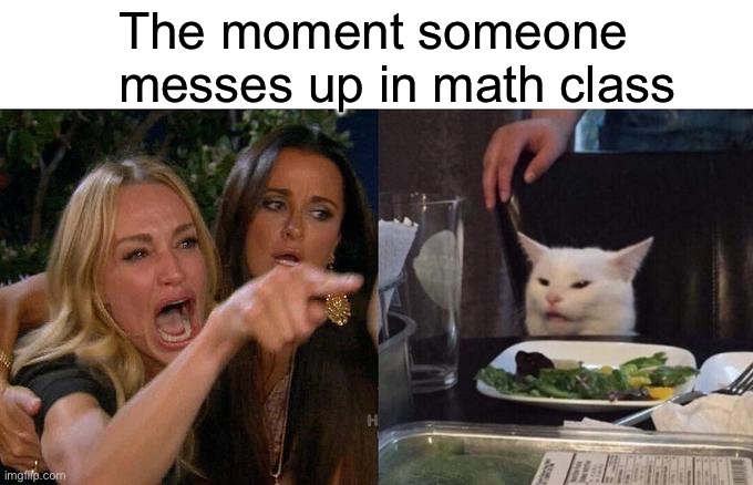 Math | The moment someone messes up in math class | image tagged in memes,woman yelling at cat | made w/ Imgflip meme maker