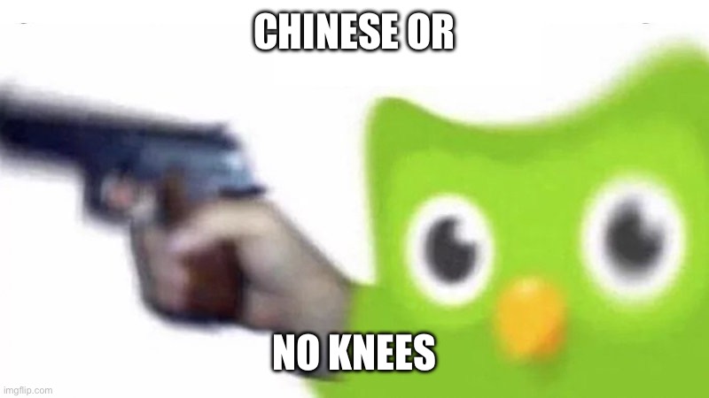 duolingo gun | CHINESE OR; NO KNEES | image tagged in duolingo gun | made w/ Imgflip meme maker