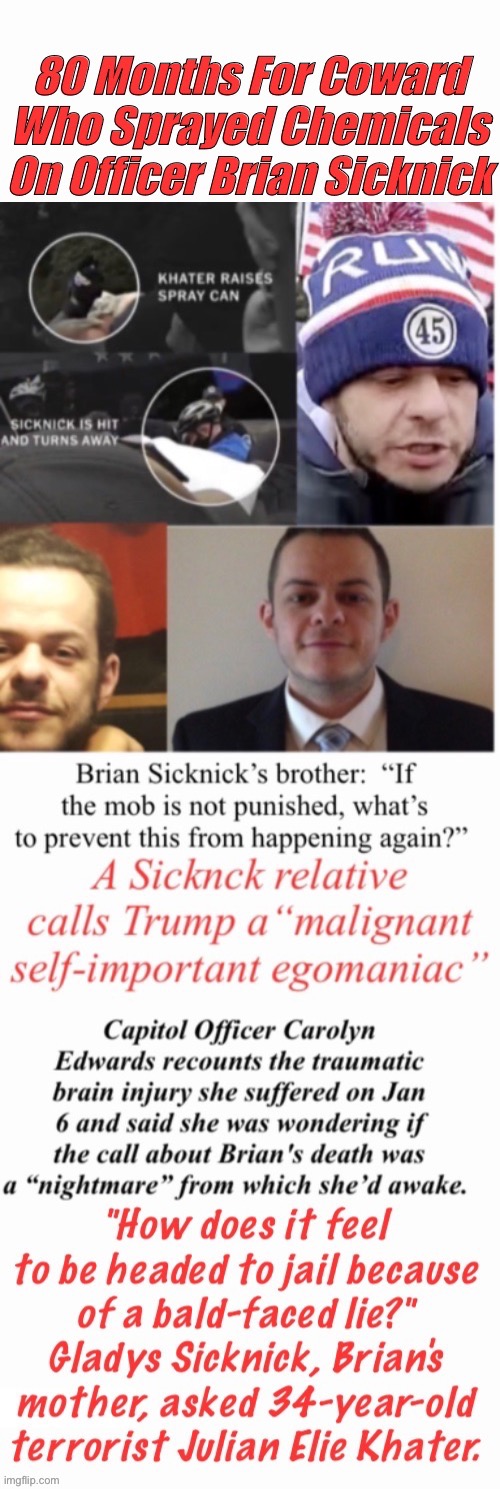 80 Months For Sicknick's Assailant | image tagged in treason,traitor,terrorist,killer,criminal,coward | made w/ Imgflip meme maker