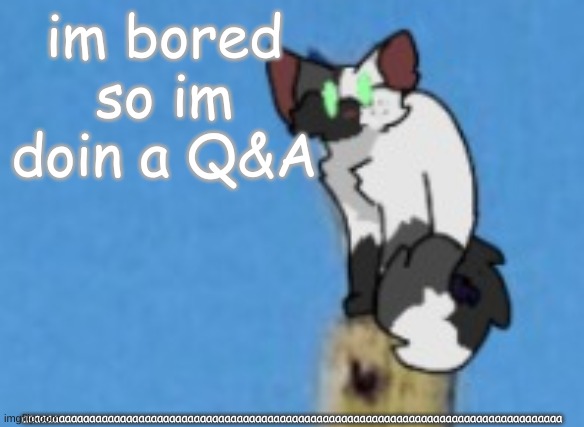 ask me anything [ i may decline some, but ask me anytinnngg] | aaaaaaaaaaaaaaaaaaaaaaaaaaaaaaaaaaaaaaaaaaaaaaaaaaaaaaaaaaaaaaaaaaaaaaaaaaaaaaaaaaaaaaaa; im bored so im doin a Q&A | image tagged in ghostie | made w/ Imgflip meme maker