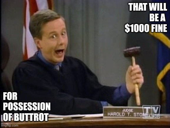 night court harry | THAT WILL
BE A 
$1000 FINE; FOR
POSSESSION
OF BUTTROT | image tagged in night court harry | made w/ Imgflip meme maker