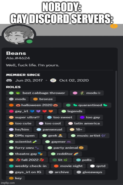 Why so many roles | NOBODY:
GAY DISCORD SERVERS: | image tagged in memes,discord,funny meme | made w/ Imgflip meme maker