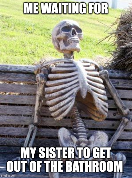 Why she take 20 minutes | ME WAITING FOR; MY SISTER TO GET OUT OF THE BATHROOM | image tagged in memes,waiting skeleton | made w/ Imgflip meme maker