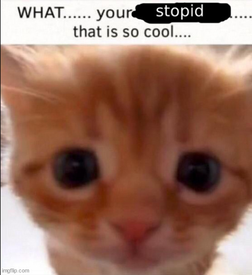 made w/ Imgflip meme maker