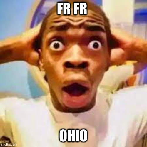 FR ONG?!?!? | FR FR OHIO | image tagged in fr ong | made w/ Imgflip meme maker