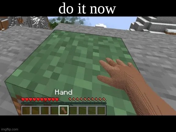 Hand touching Minecraft grass block | do it now | image tagged in hand touching minecraft grass block | made w/ Imgflip meme maker