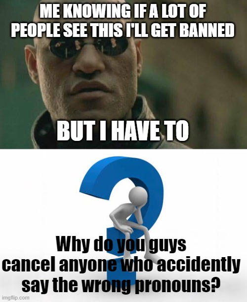 I have a question | ME KNOWING IF A LOT OF PEOPLE SEE THIS I'LL GET BANNED; BUT I HAVE TO; Why do you guys cancel anyone who accidently say the wrong pronouns? | image tagged in memes,matrix morpheus | made w/ Imgflip meme maker