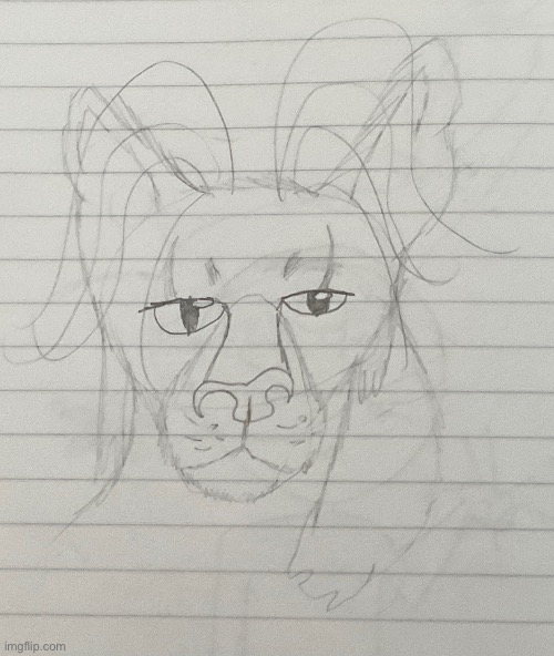 AYO what an handsome lion you got there | image tagged in drawing | made w/ Imgflip meme maker